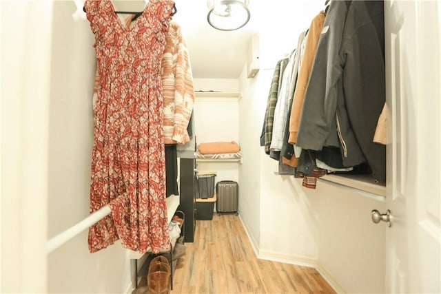 spacious closet with radiator heating unit and light wood-type flooring