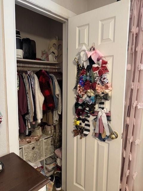 view of closet