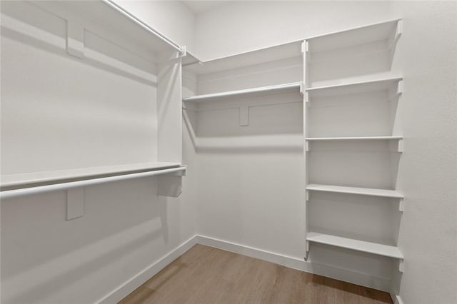 walk in closet with wood-type flooring