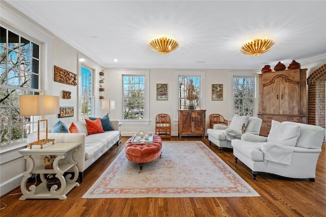 sitting room featuring dark hardwood / wood-style floors and ornamental molding