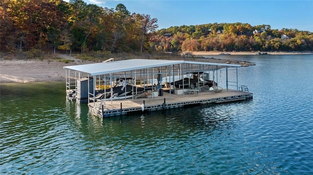 view of dock with a water view