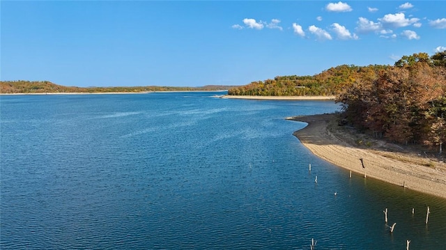 property view of water