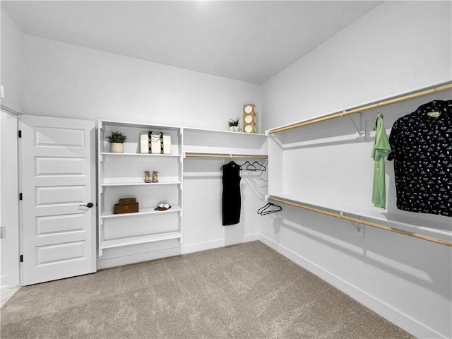 spacious closet with carpet