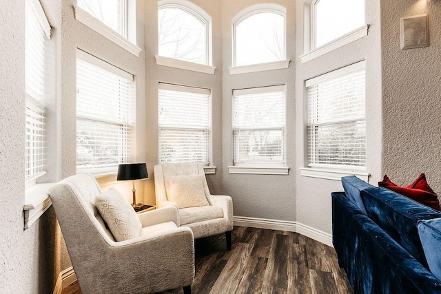 sitting room with dark hardwood / wood-style floors and a high ceiling