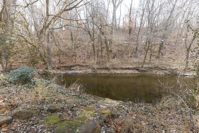 view of landscape