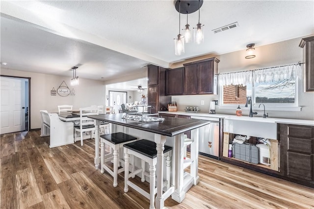 kitchen featuring light hardwood / wood-style flooring, a wealth of natural light, dark brown cabinets, and dishwasher