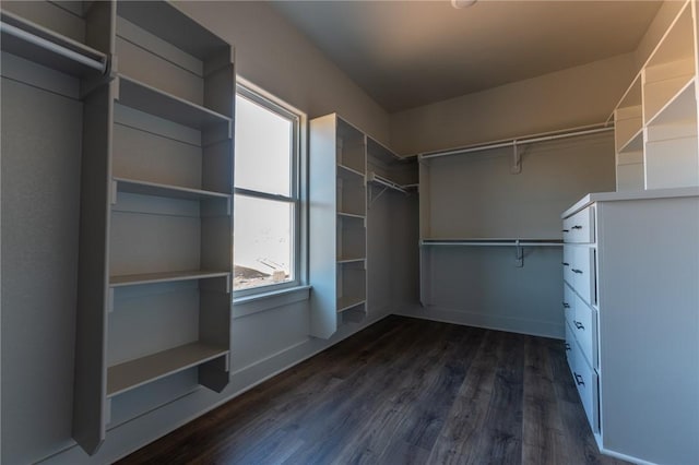 spacious closet featuring dark hardwood / wood-style flooring