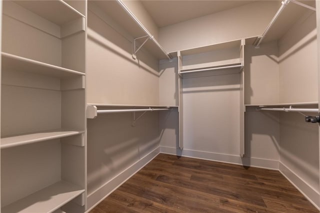 walk in closet featuring dark hardwood / wood-style flooring