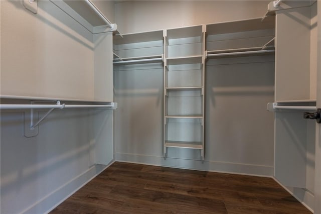 spacious closet with dark hardwood / wood-style flooring