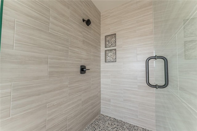 13121 Bethel Blacktop Rd, Farmington, AR 72730 - bathroom featuring a shower stall