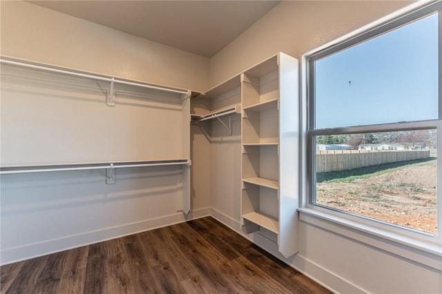 13121 Bethel Blacktop Rd, Farmington, AR 72730 - spacious closet featuring dark wood-style floors