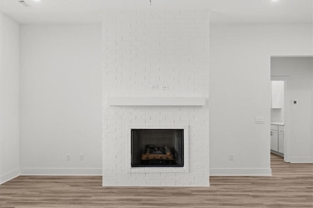 room details with wood-type flooring and a large fireplace