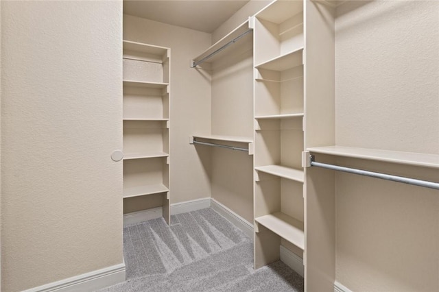 spacious closet featuring light colored carpet