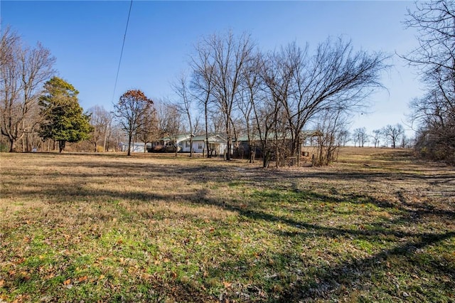 view of yard featuring a rural view