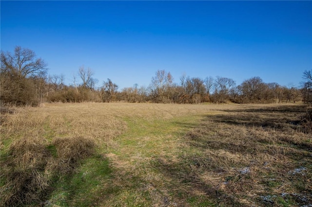 view of local wilderness featuring a rural view