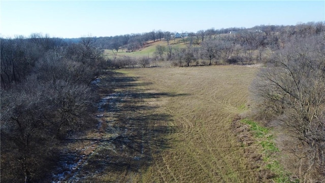 view of local wilderness featuring a rural view