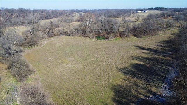 birds eye view of property featuring a rural view