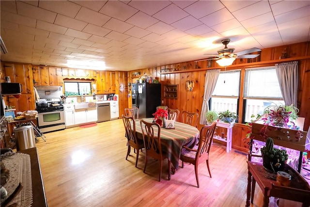 dining room featuring sink, ceiling fan, and light hardwood / wood-style flooring