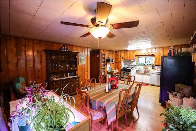 dining area with light wood-type flooring, wood walls, and ceiling fan