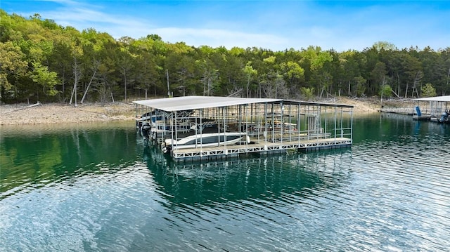 view of dock featuring a water view and a view of trees