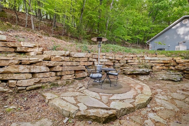 view of yard featuring a patio area