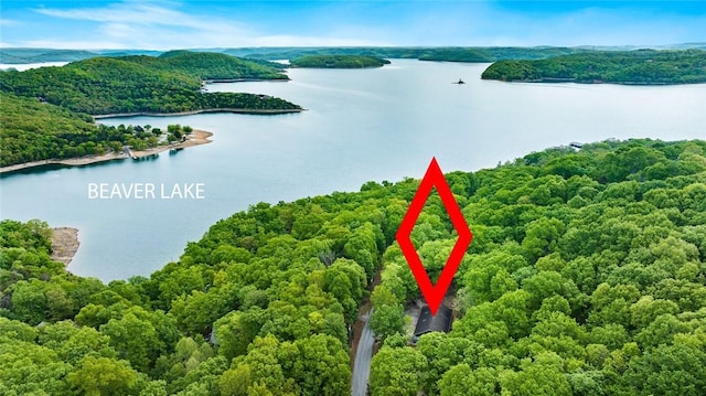 birds eye view of property featuring a water view and a wooded view