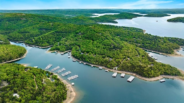 aerial view featuring a water view and a wooded view