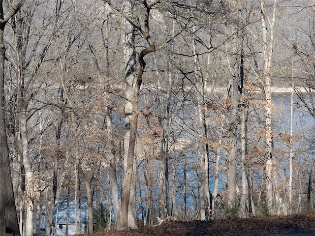 view of local wilderness featuring a wooded view