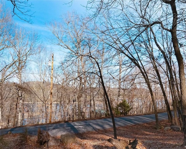 11743 Dogwood Dr, Garfield, AR 72732 - photo 28
