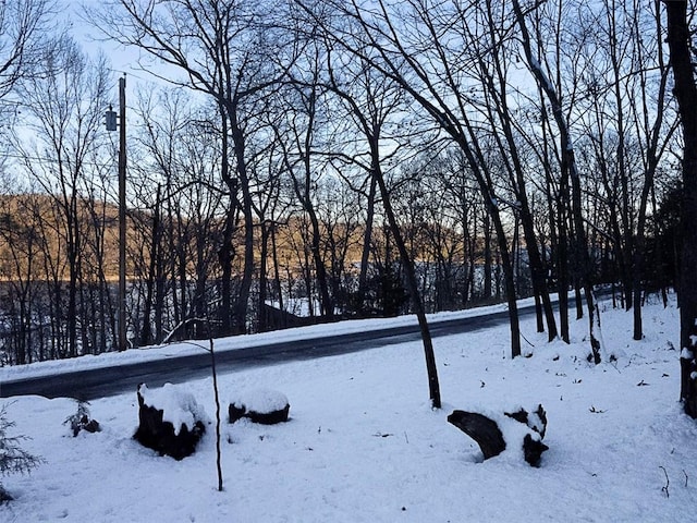 snowy yard featuring a garage