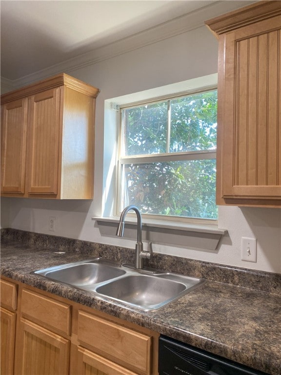 kitchen featuring black dishwasher, crown molding, and sink