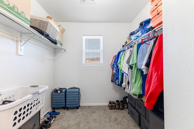 spacious closet featuring carpet floors