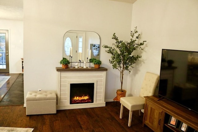 living area featuring dark wood-type flooring