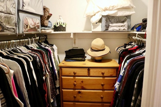 view of spacious closet