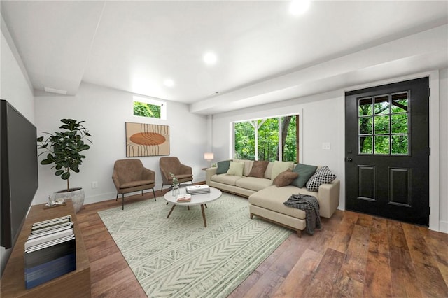 living room featuring hardwood / wood-style flooring