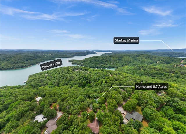 99 Beaverview Dr, Eureka Springs, AR 72631 - photo 4