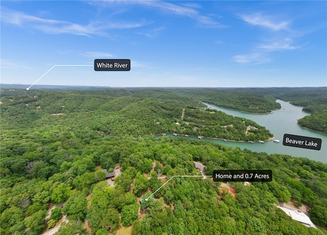 99 Beaverview Dr, Eureka Springs, AR 72631 - photo 45