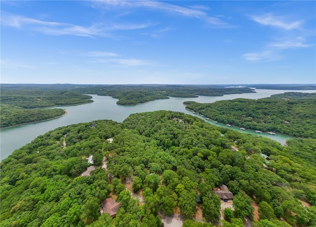 99 Beaverview Dr, Eureka Springs, AR 72631 - photo 47