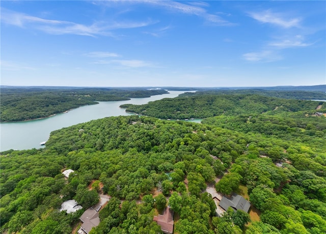 99 Beaverview Dr, Eureka Springs, AR 72631 - photo 46