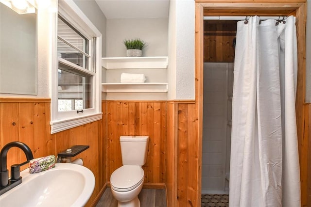 bathroom featuring toilet, wood walls, and sink