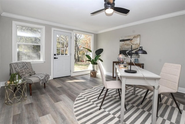 dining room with a healthy amount of sunlight, wood-type flooring, and ornamental molding