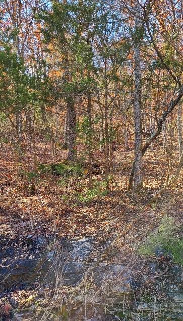 Listing photo 3 for Wild Turkey Dr, Holiday Island AR 72631