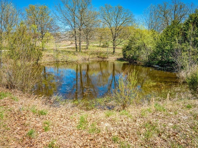 view of water feature