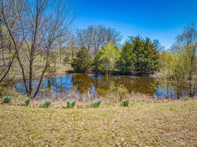 552 Deer Meadows Ln, Yellville, AR 72687 - photo 32