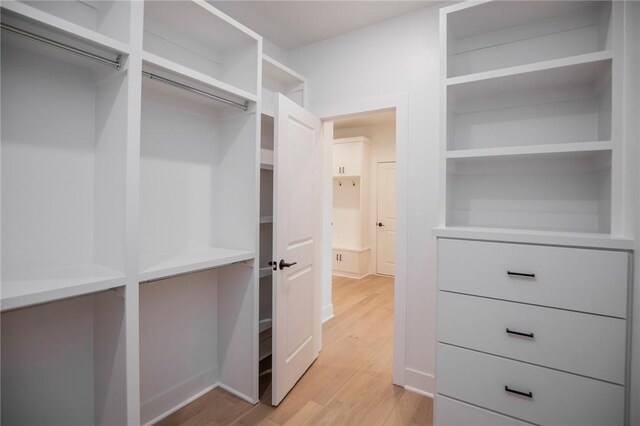 20 Singleton Dr, Bella Vista, AR 72715 - walk in closet with light wood-type flooring