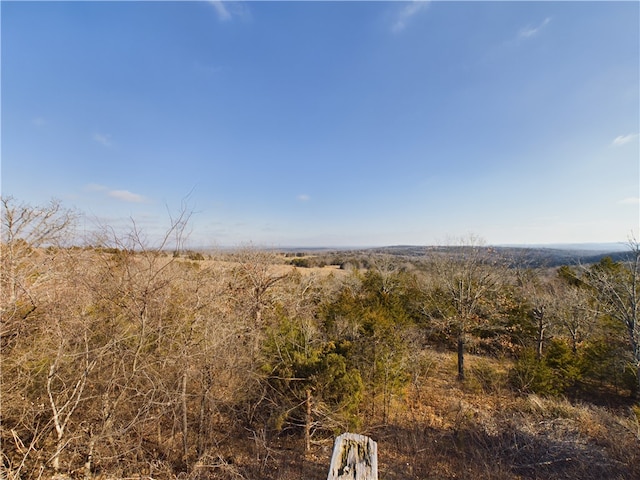 view of local wilderness featuring a rural view