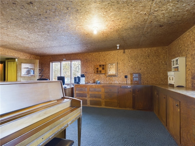 misc room with lofted ceiling and dark carpet