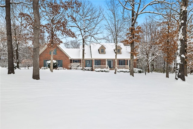 view of cape cod-style house