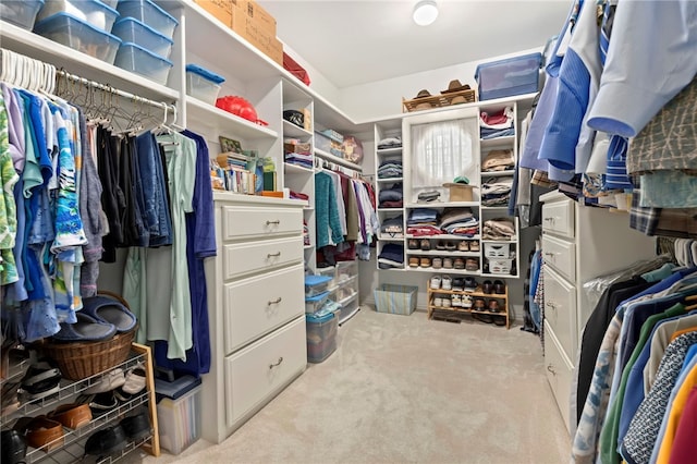 walk in closet featuring light colored carpet