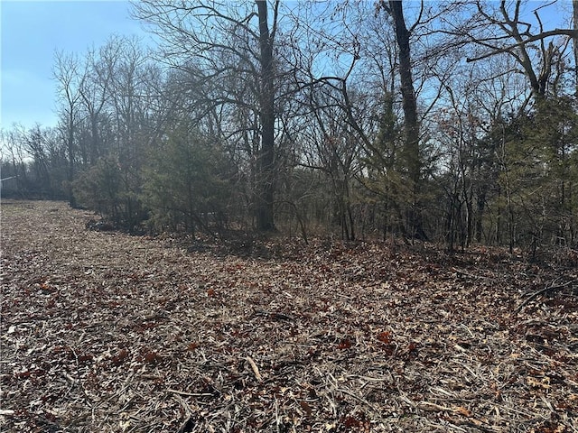 Listing photo 3 for TBD Posy Mountain Rd, Rogers AR 72756